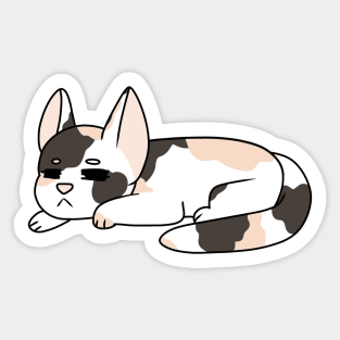 Sleeping Calico Kitten Sticker